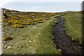 P5180517.JPG