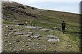 P5180522.JPG