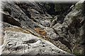 P5210531.JPG
