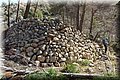 P5210534.JPG
