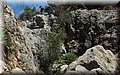 P5210541.JPG