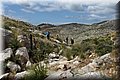 P5210567.JPG