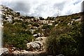 P5210568.JPG