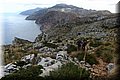 P5210573.JPG