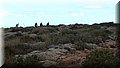 P5210576.JPG