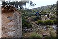 P5210579.JPG