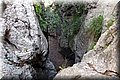 P5250717.JPG