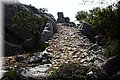 P5250733.JPG