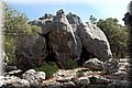 P5250737.JPG