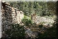 P5250753.JPG