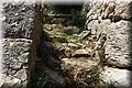 P5250757.JPG