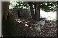 P5250759.JPG