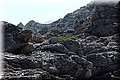 P5280828.JPG