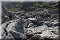 P5280837.JPG