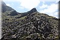 P5280861.JPG