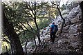 P6010950.JPG