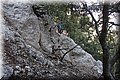 P6010955.JPG