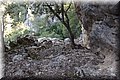 P6010956.JPG