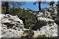 P6010973.JPG
