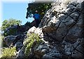 P6010985.JPG