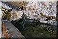 P6010995.JPG