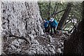 P6041006.JPG