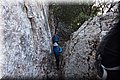 P6041010.JPG