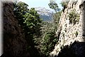 P6041015.JPG