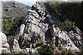 P6081084.JPG