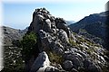 P6081095.JPG