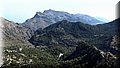 P6081104.JPG