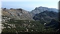 P6081106.JPG