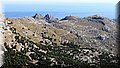 P6081117.JPG