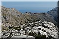 P6081140.JPG