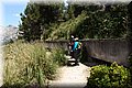 P6081183.JPG