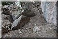 P6111212.JPG