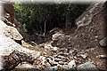 P6111220.JPG
