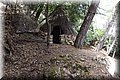 P6111224.JPG
