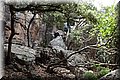 P6111241.JPG