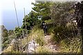 P6111256.JPG