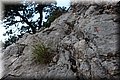 P6151369.JPG