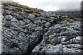 P6151394.JPG
