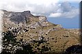 P6151397.JPG