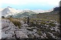 P6151399.JPG