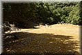 P6151403.JPG