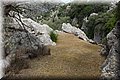 P6151411.JPG