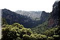 P6151415.JPG