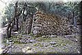 P6181423.JPG