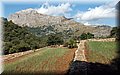 P6181430.JPG