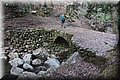P6181435.JPG
